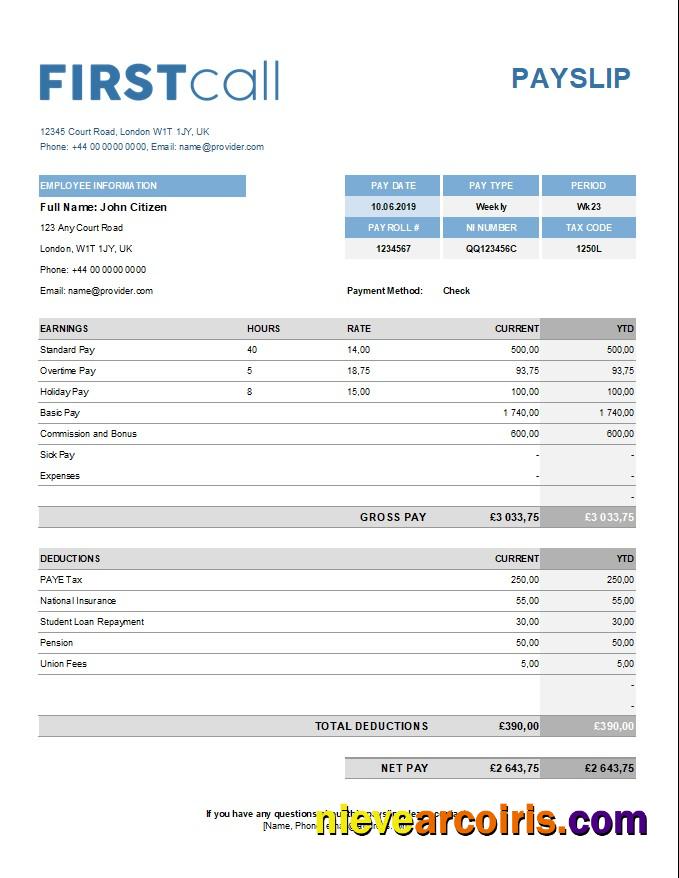Professional Call Forwarding Company Paystub Template In Excel And PDF Formats