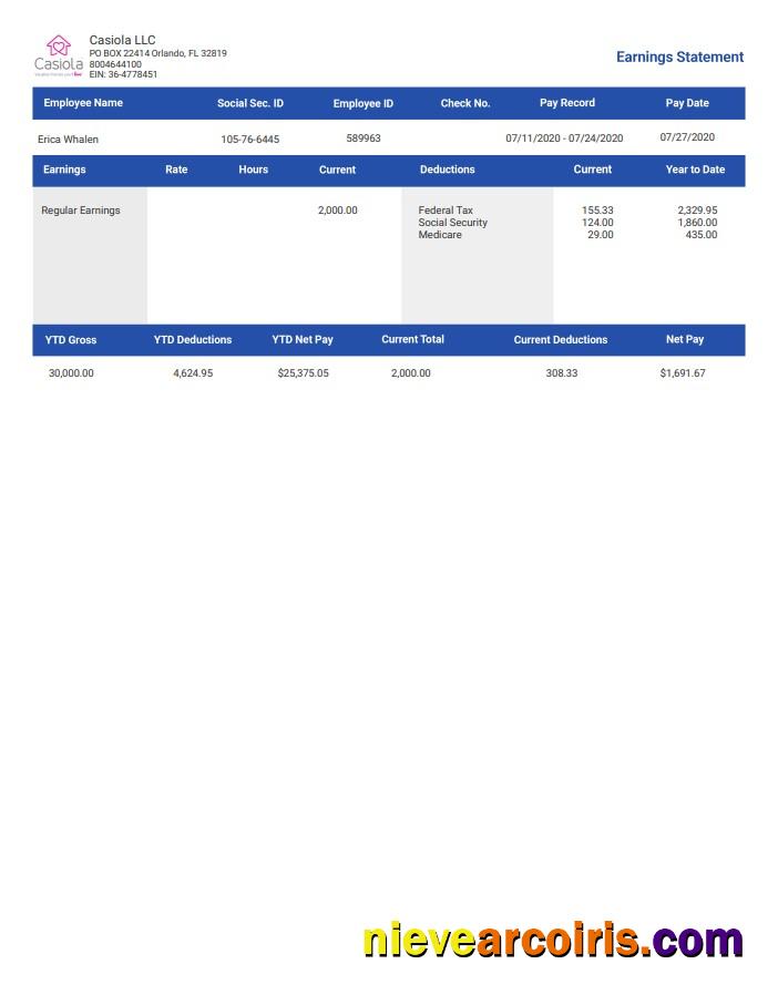 Casiola Llc Earnings Employee Paystub Photolook