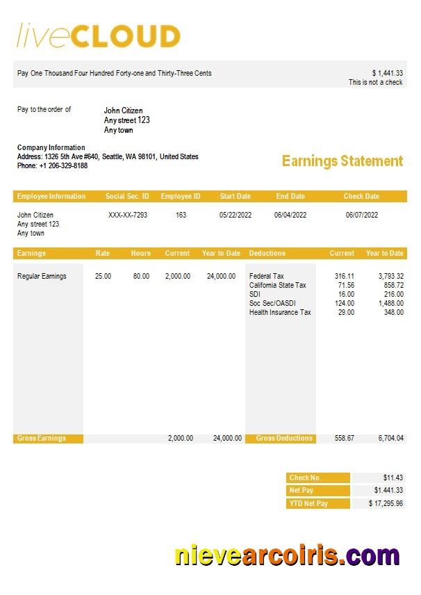 Realistic Cloud Storage Paystub Template In Word And PDf Formats