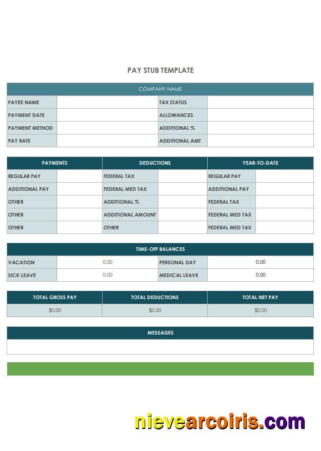Professional Company Pay StubTemplate, Version 2