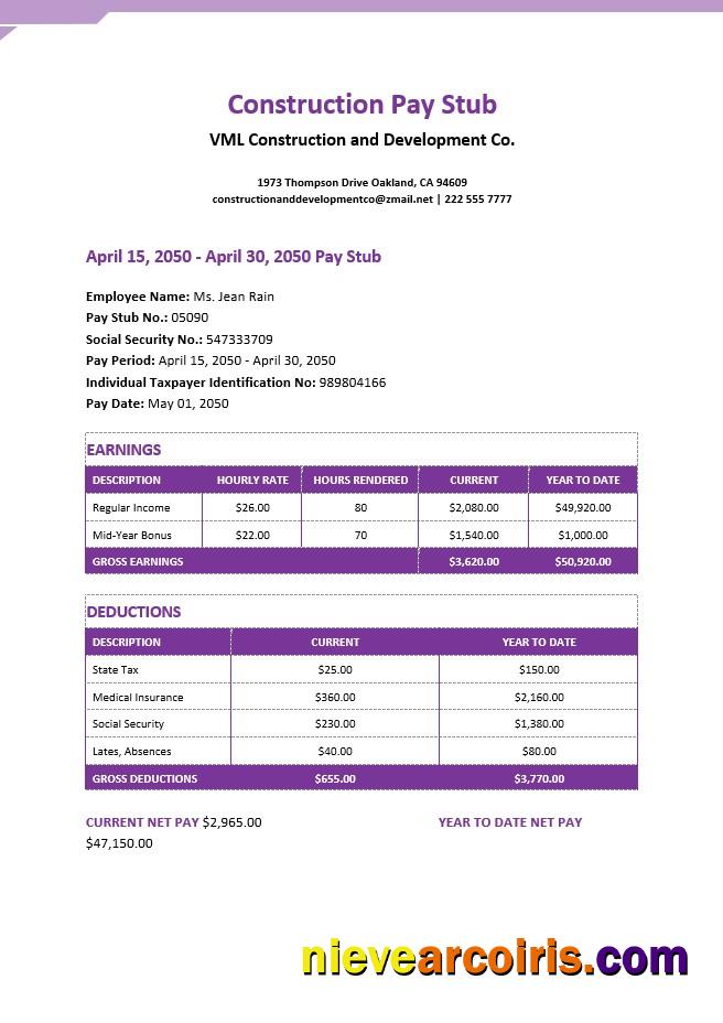Premium Construction Pay Stub Word And PDF Template