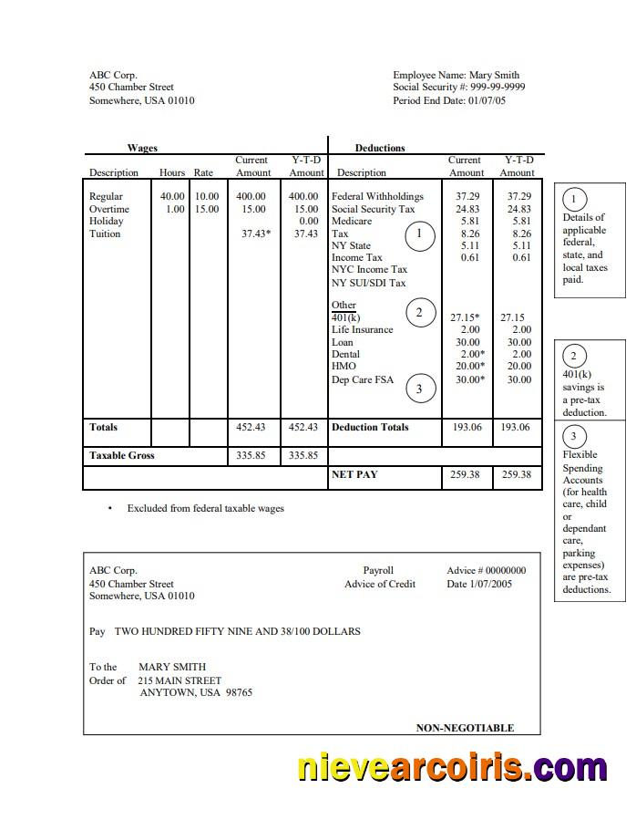 Realistic Corporation Pay Stub Word And PDF Template