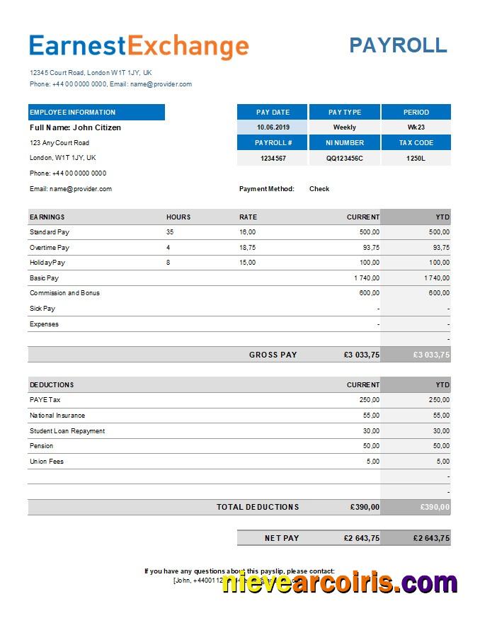Professional Currency Exchange Company Payroll Template In Excel And PDF Formats