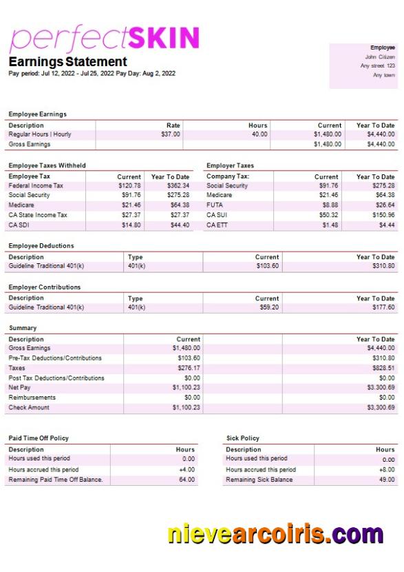 Realistic Dermatology Company Paystub Template In Word And PDF Formats