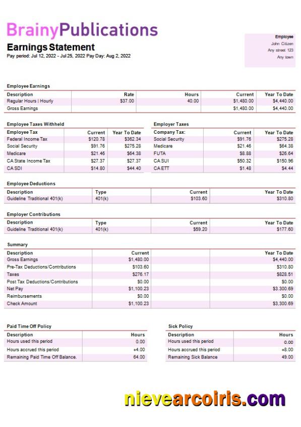 Professional Digital Publishing Company Paystub Template In Word And PDF Formats