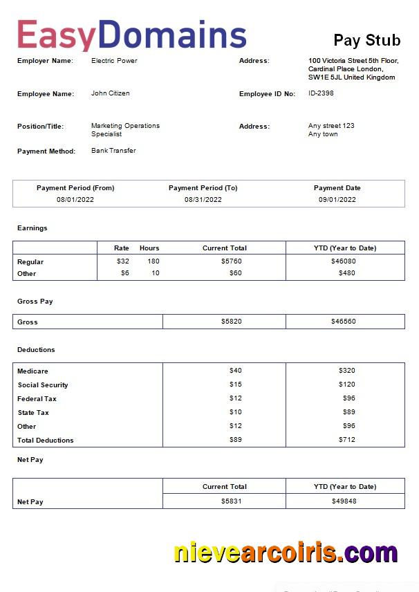 Realistic Domain Name Registration Company Payslip Template In Word And PDf Formats