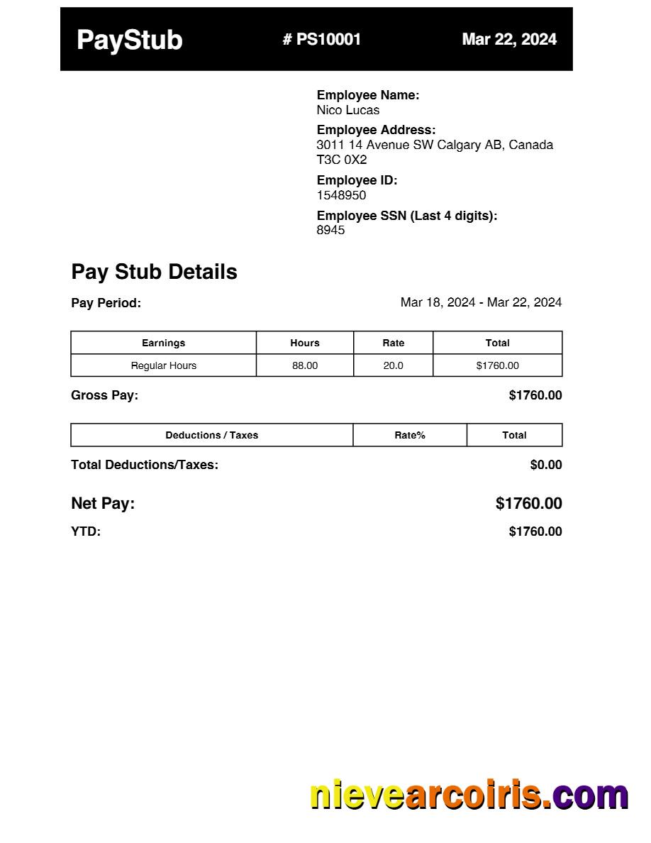 Professional Earnings Pay Stub Template In Word And PDF Formats.pdf, 1