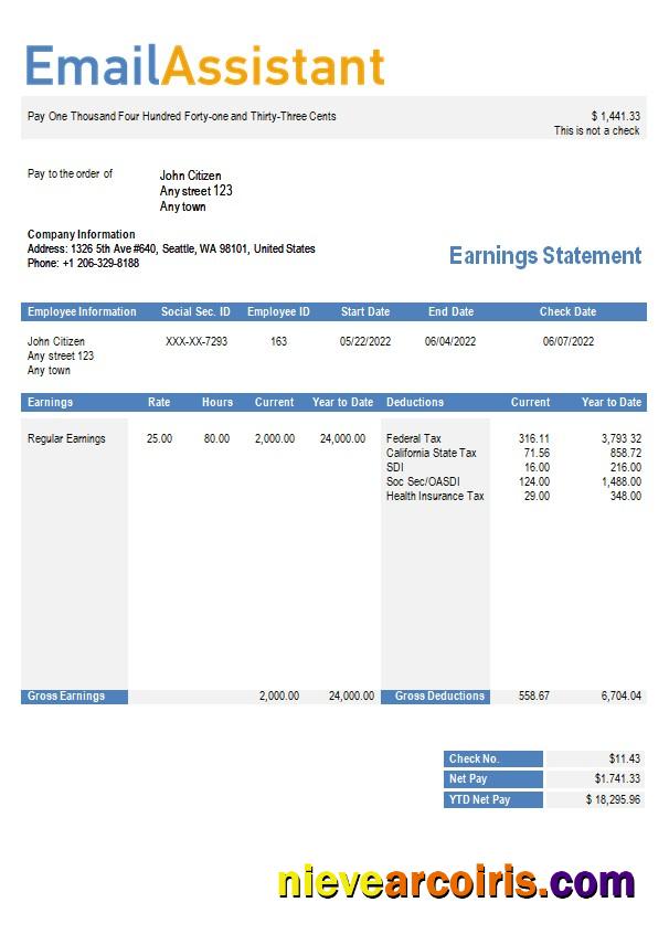 Email Services Company Earning Statement In Word And PDf Formats Sample