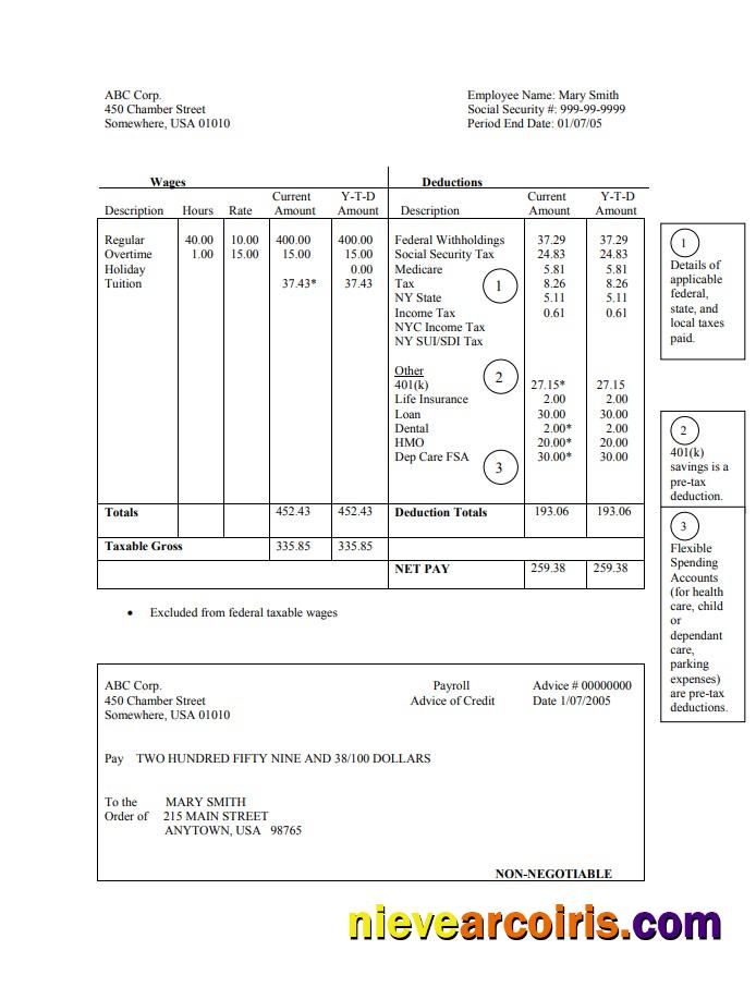 Realistic Employee Hourly Pay Stub Word And PDF Template