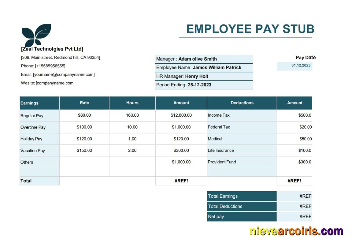 Premium Employee Pay Stub Word And PDF Template, Version 5