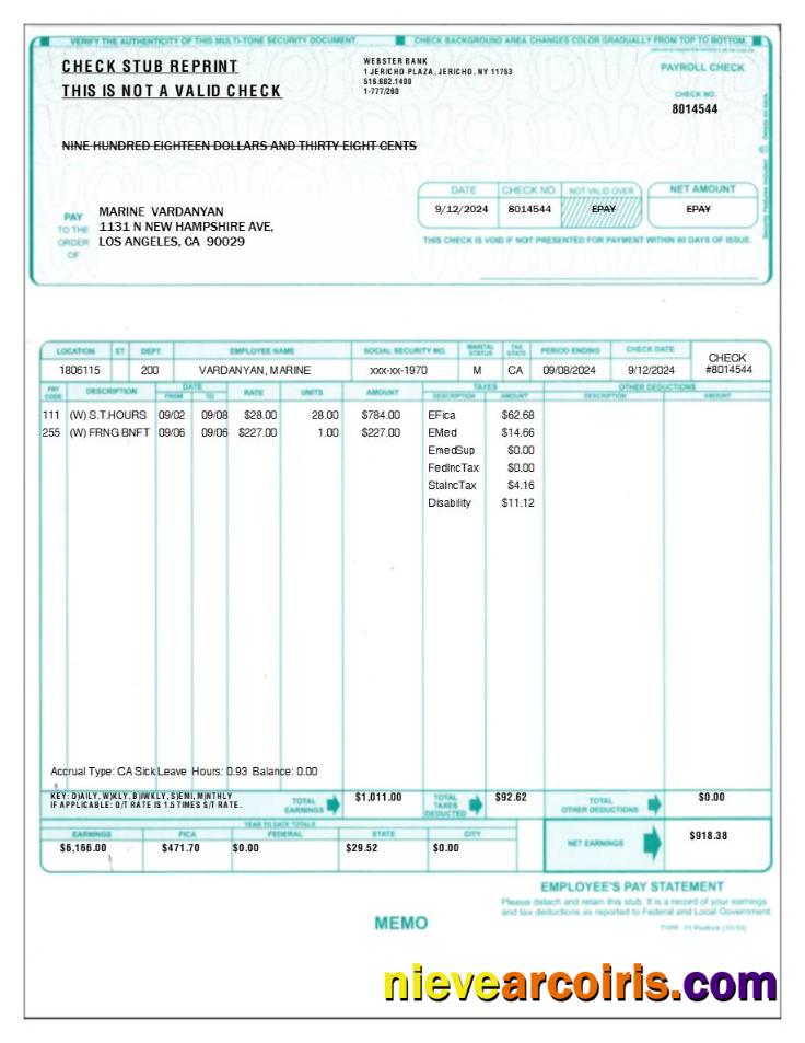 Professional Employee's Pay Statement Template In Word And PDF Formats.pdf, 1