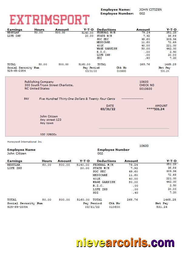 Extrim Sport Company Fully Editable Earning Statement In Word And PDF Formats Preview