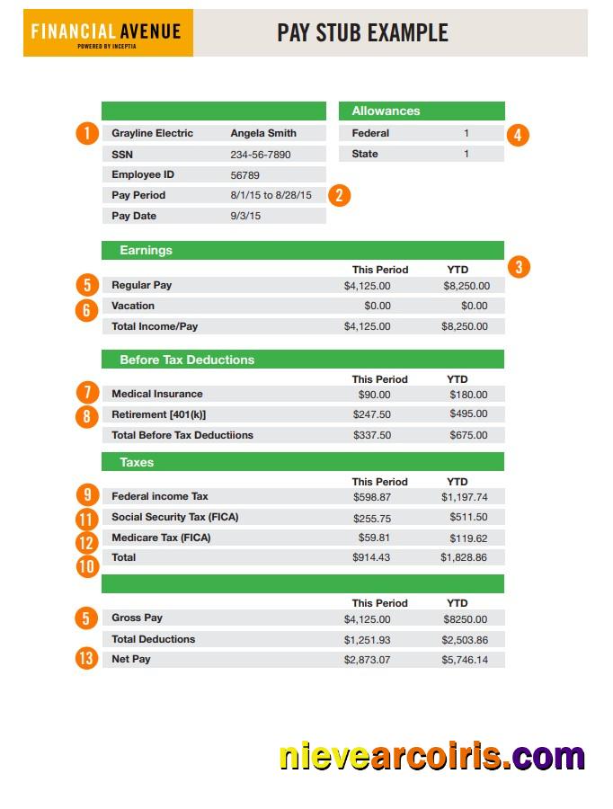 Premium Financial Avenue Pay Stub Word And PDF Template