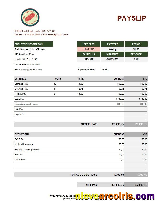 Food Meat Company Earning Statement In Excel And PDF Formats Sample