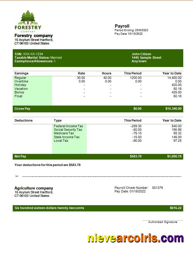 Realistic Forestry Company Payslip Template In Word And PDF Formats