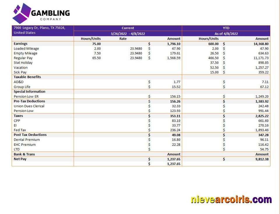 Professional Gambling Company Pay Stub Template In Word And PDF Formats