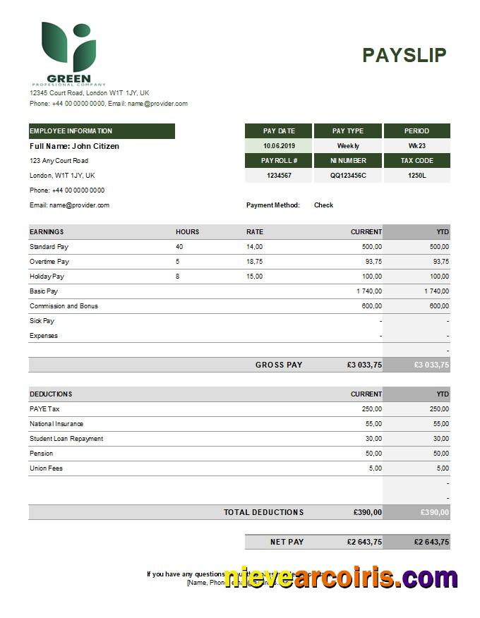 Realistic Green Industry Earning Statement Template In Excel And PDF Formats