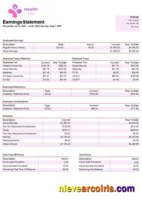 Professional Health Services Company Paystub Template In Word And PDF Formats