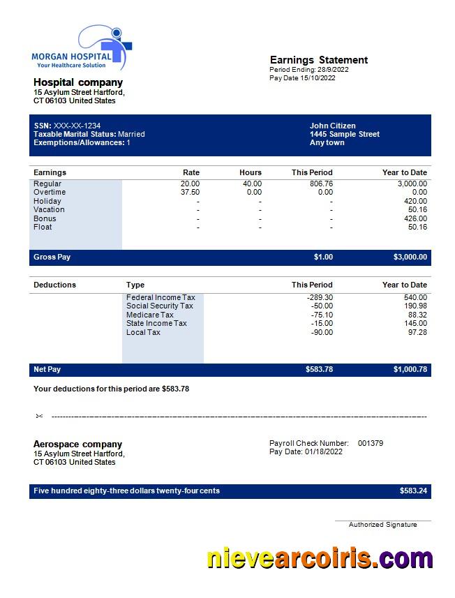 Hospital Company Earning Statement In Word And PDF Formats Sample