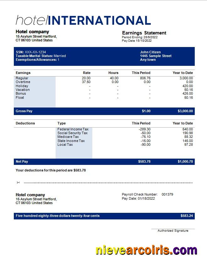 Professional Hotel International Payroll Template In Word And PDF Formats