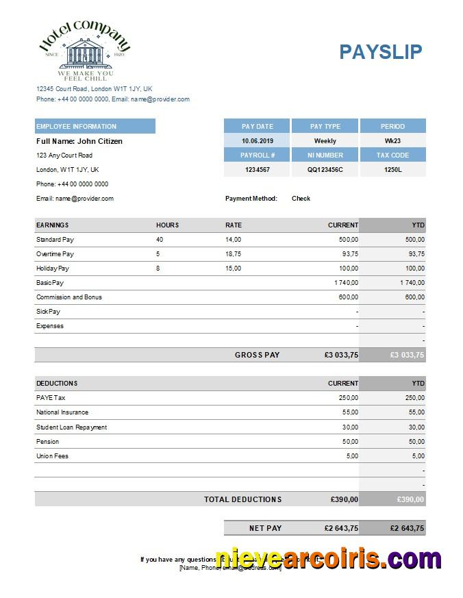 Professional Hotel Company Payroll Template In Excel And PDF Formats