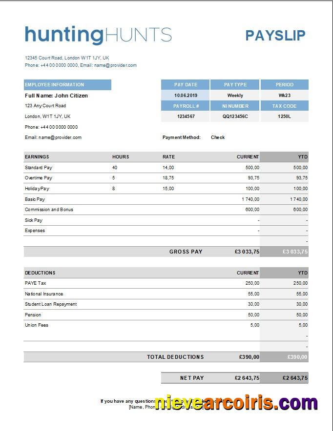 Editable Hunting Company Paystub Template In Excel And PDF Formats