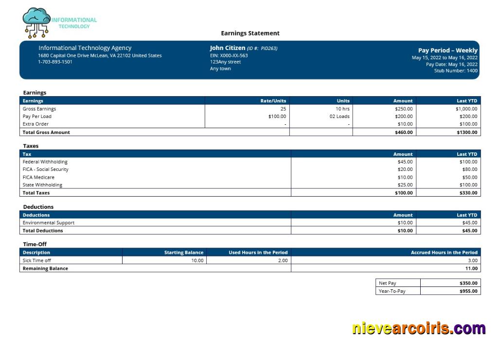 Editable Information Technology Company Paystub Template In Word And PDF Formats
