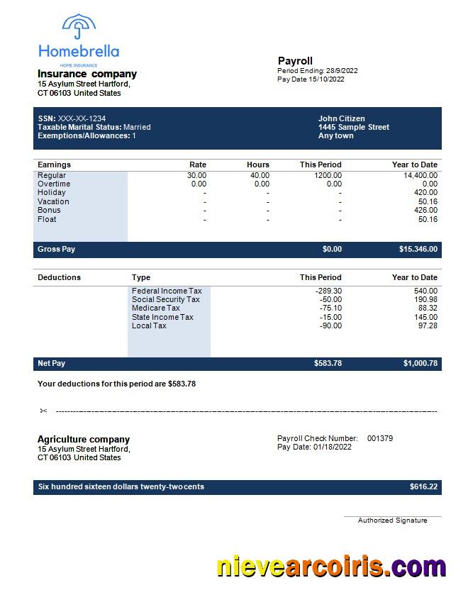Professional Insurance Company Fully Editable Earning Statement Template In Word And PDF Formats