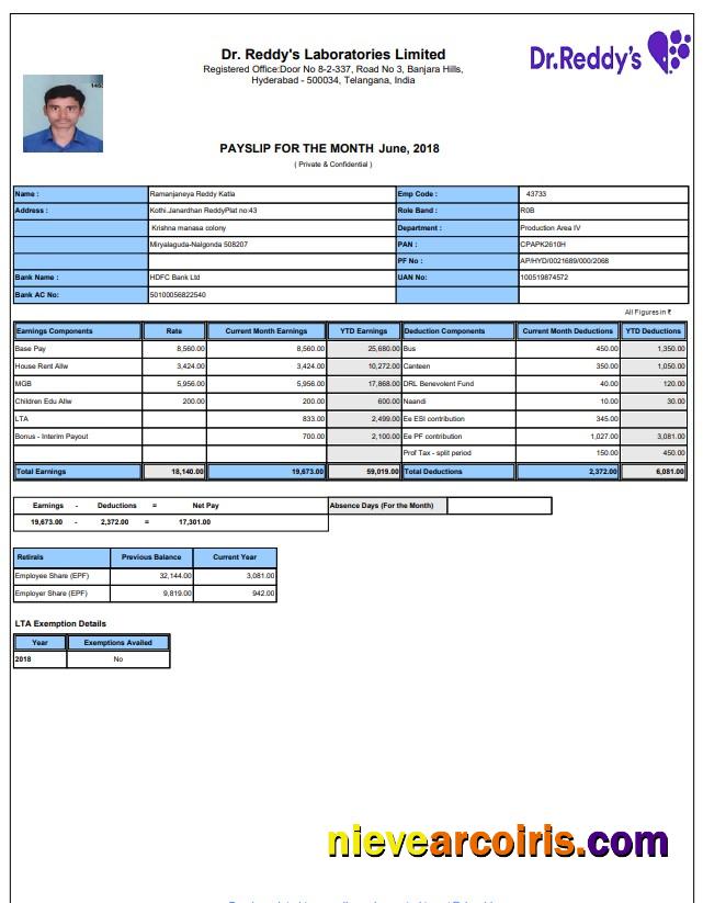 Professional Laboratory Payslip Word And PDF Template