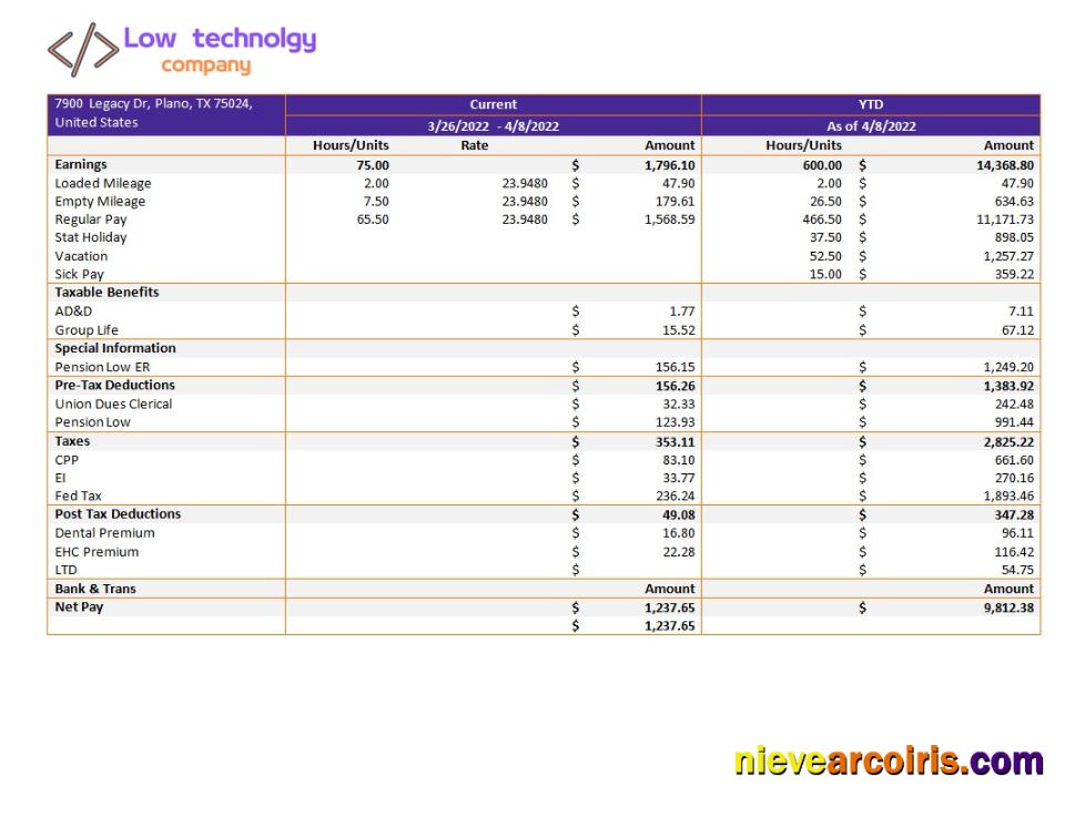 Professional Low Technology Company Paystub Template In Word And PDF Formats