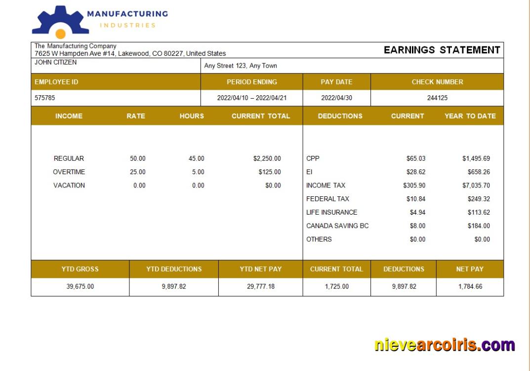 Premium Manufacturing Company Payslip Template In Word And PDF Formats