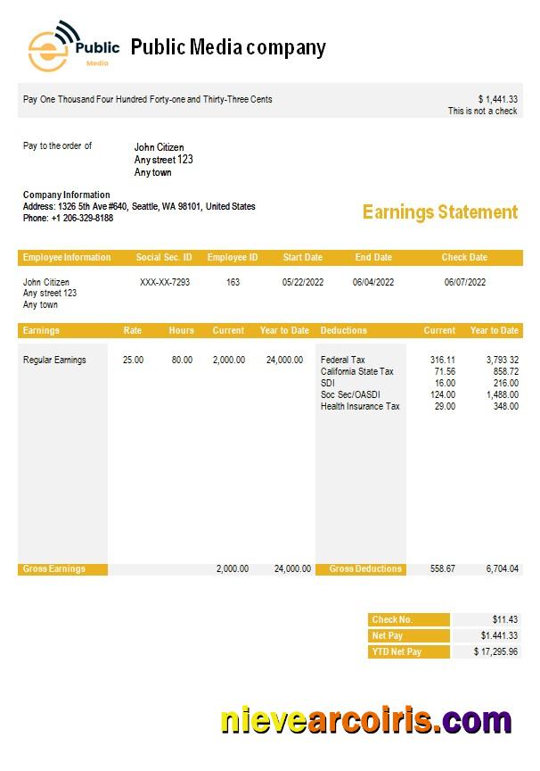 Public Media Company Earning Statement In Word And PDF Formats Preview