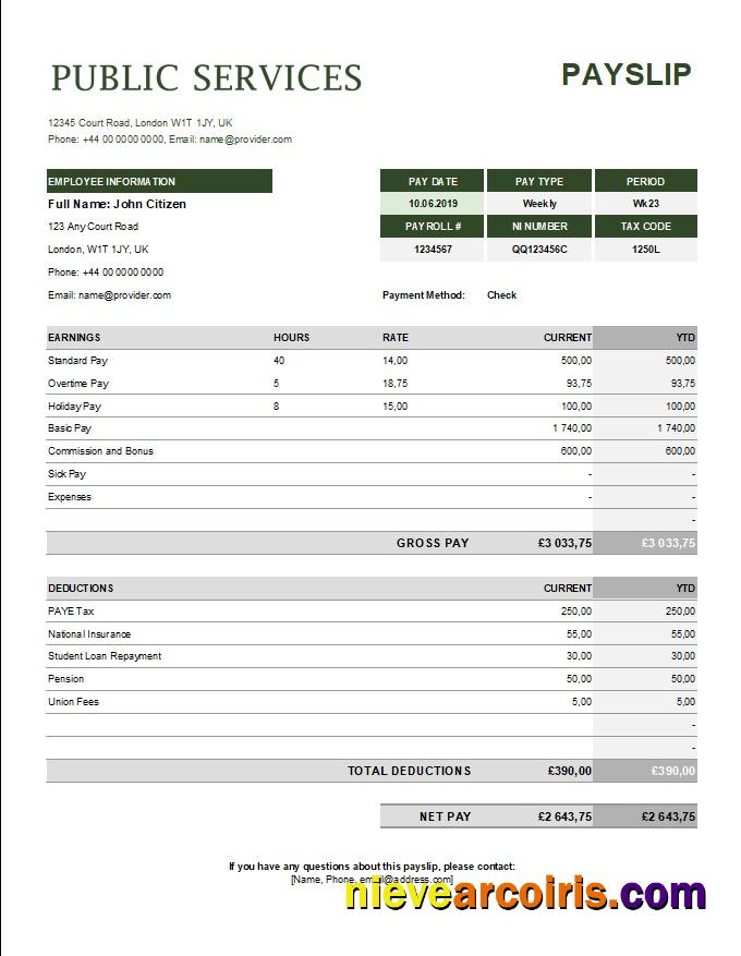 Professional Public Services Corporation Payslip Template In Excel And PDF Formats