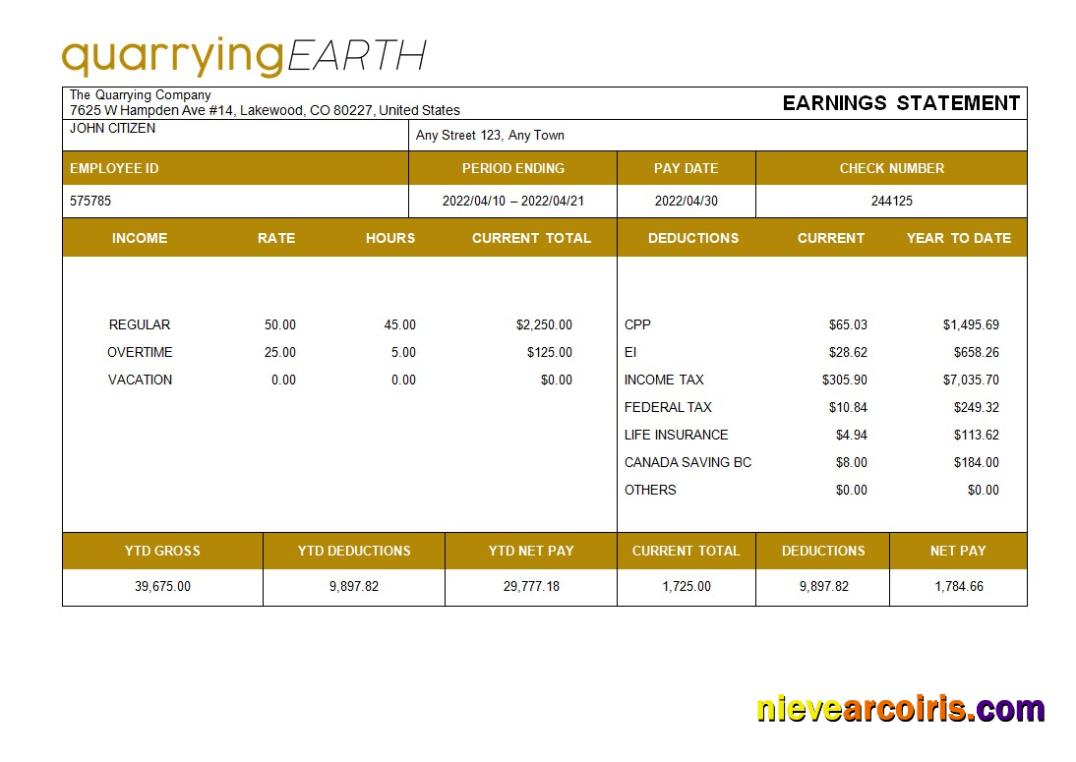 Professional Quarrying Company Fully Editable Paystub Template In Word And PDF Formats
