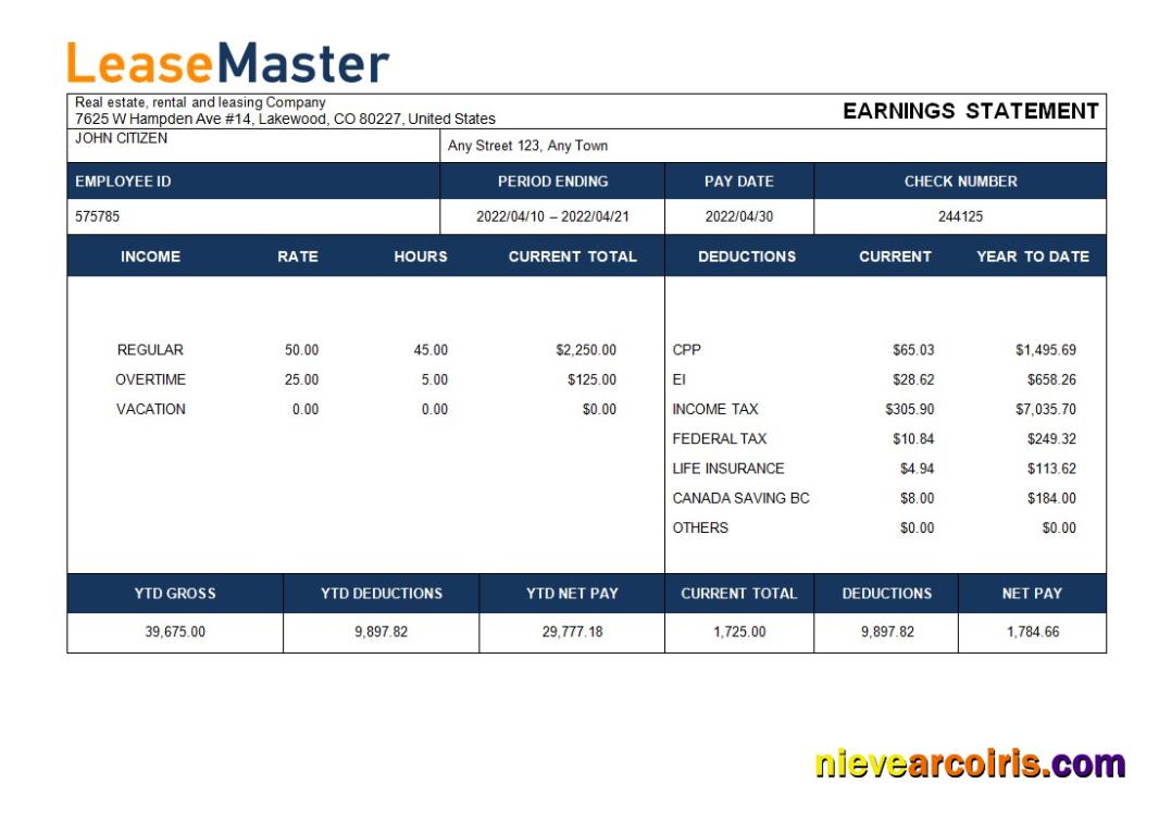 Realistic Real Estate, Rental And Leasing Company Payslip Template In Word And PDF Formats