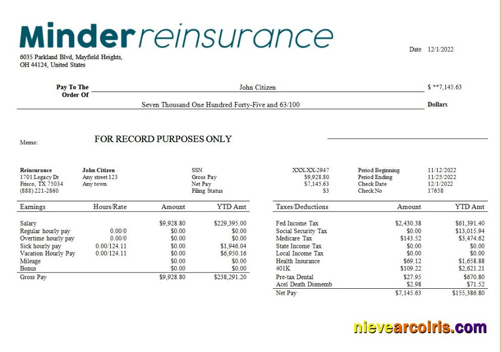 Premium Reinsurance Company Payroll Template In Word And PDF Formats