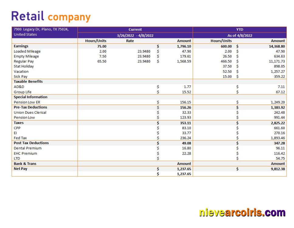 Retail Company Earning Statement In Word And PDf Formats Template