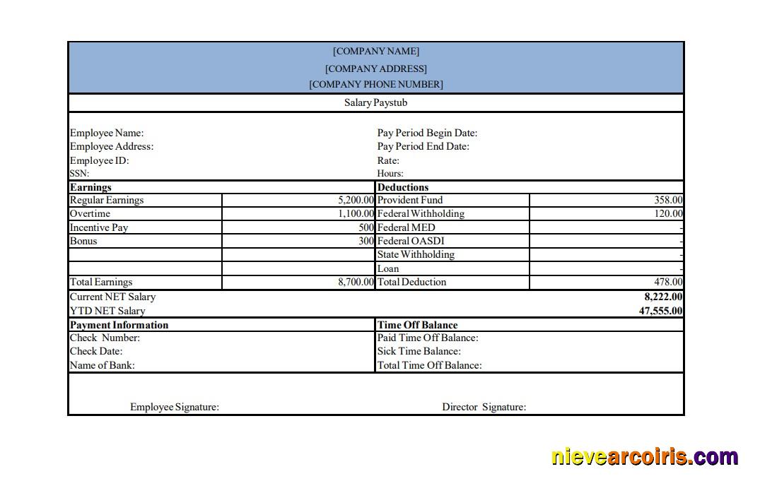 Editable Salary Pay Stub Template, Version 2