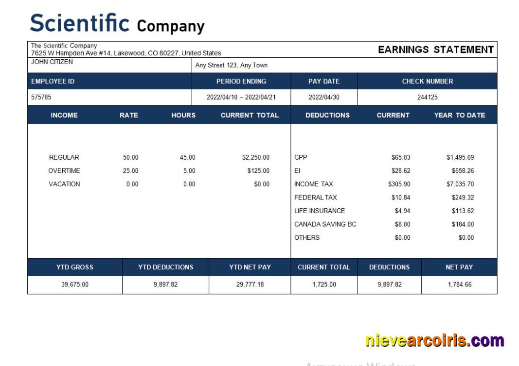 Scientific Company Payroll Statement In Word And PDF Formats Template