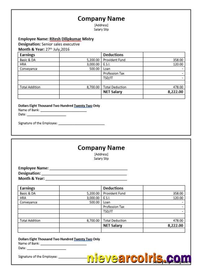 Professional Senior Sales Executive Salary Slip Word And PDF Template Screen