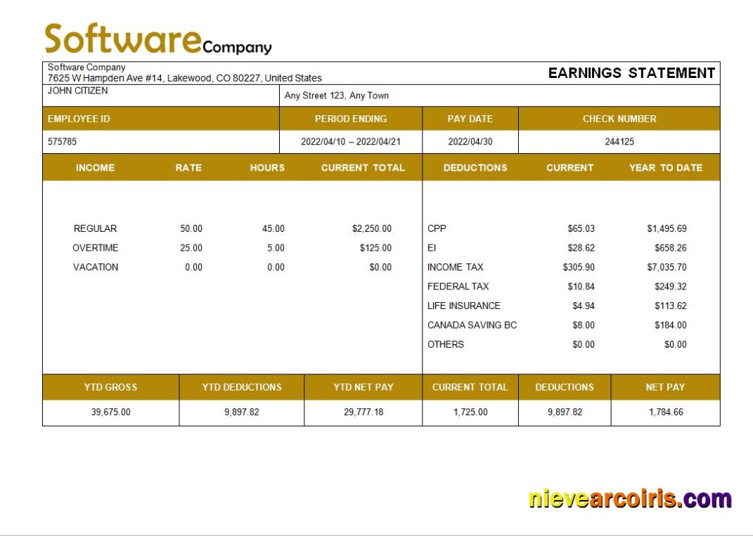 Professional Software Company Paystub Template In Word And PDF Formats