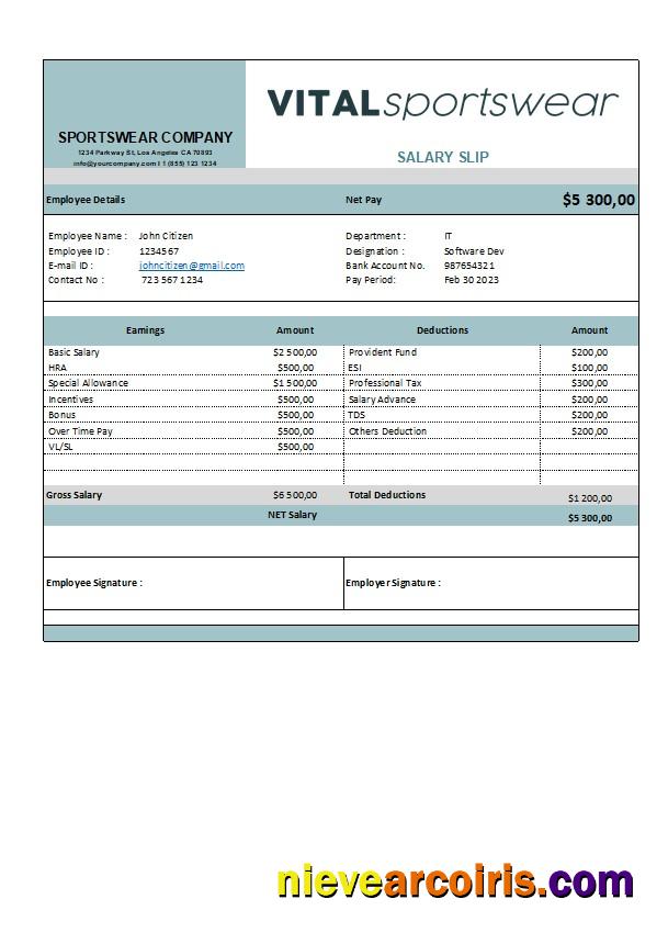 Editable Sportswear Company Earning Statement Template In Excel And PDF Formats