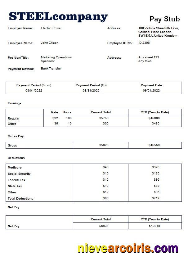 Premium Steel Company Payroll Template In Word And PDF Formats