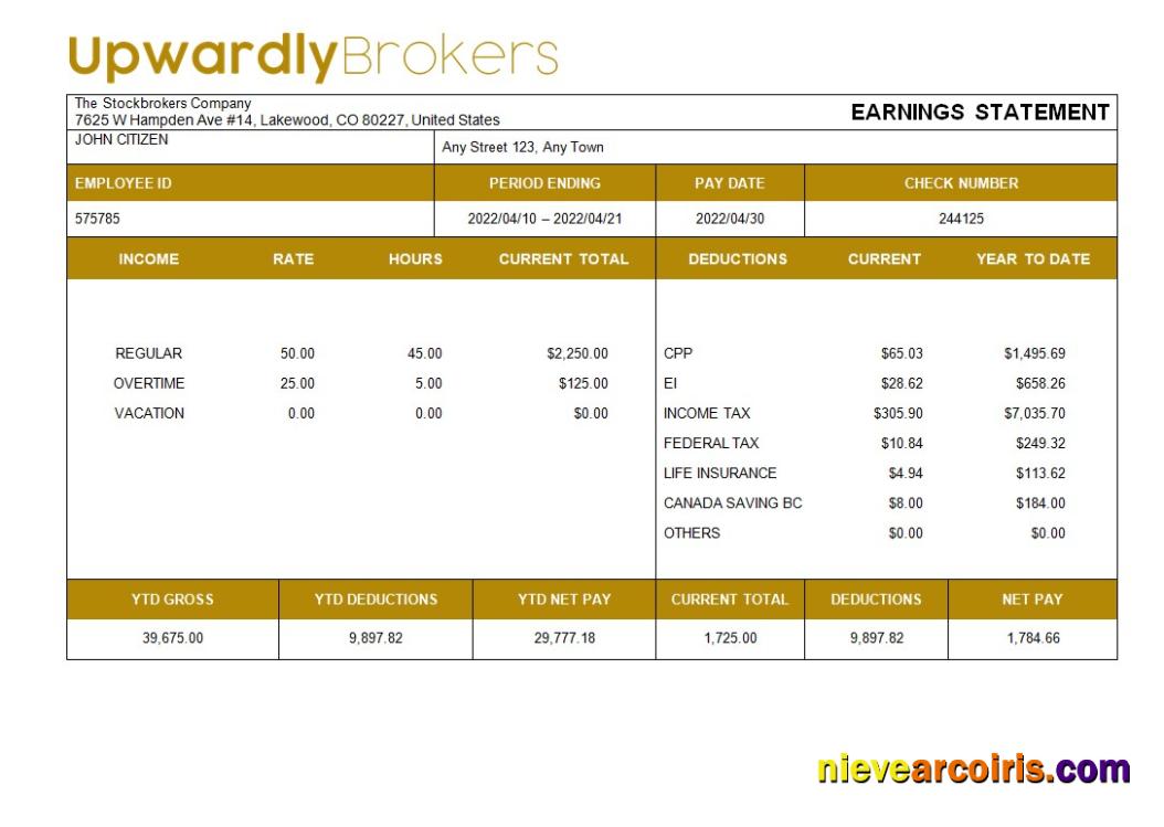Editable Stockbrokers Company Payslip Template In Word And PDF Formats