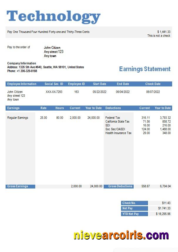 Professional Technology Company Paystub Template In Word And PDF Formats