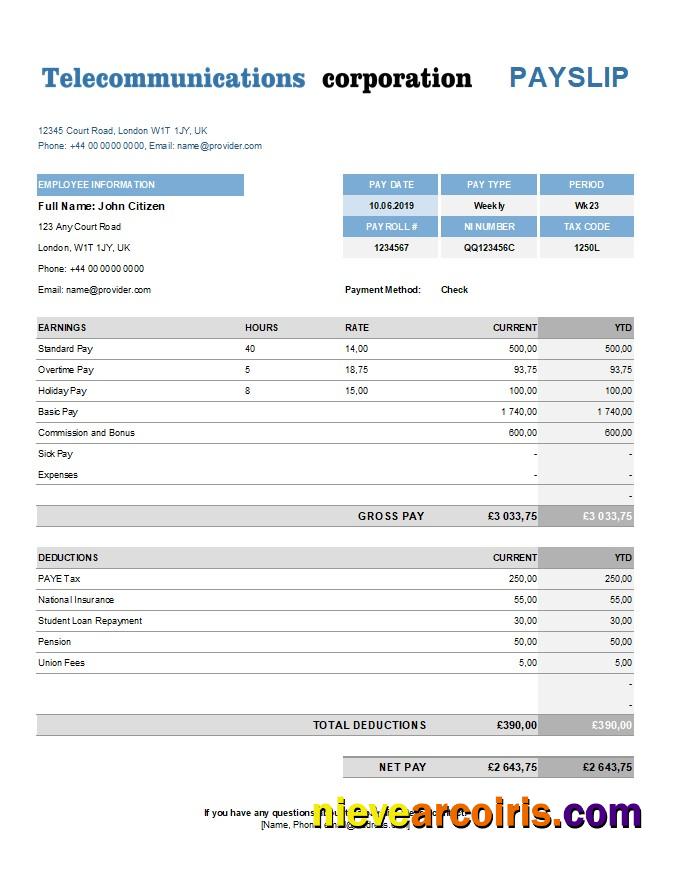 Telecommunications Corporation Earning Statement In Excel And PDF Preview