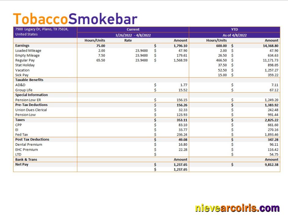 Professional Tobacco Company Earning Statement Template In Word And PDF Formats