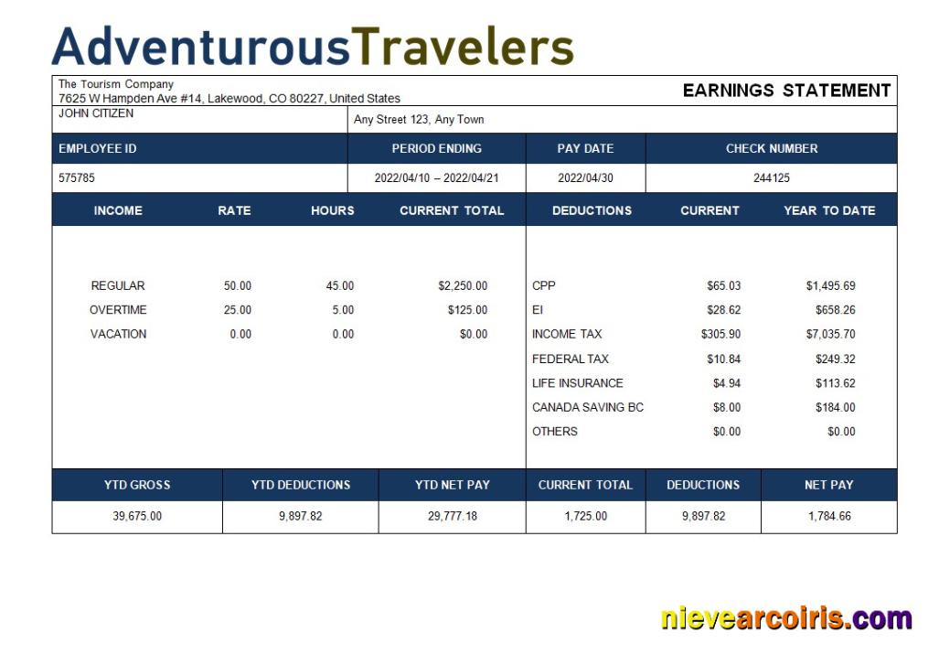 Editable Tourism Company Paystub Template In Word And PDF Formats