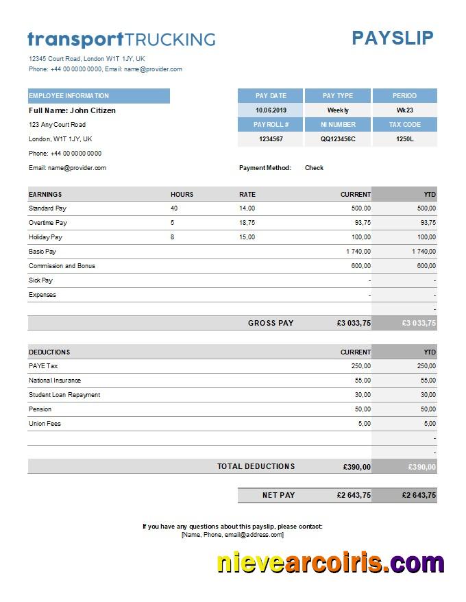 Premium Transport Company Payroll Template In Excel And PDF Formats
