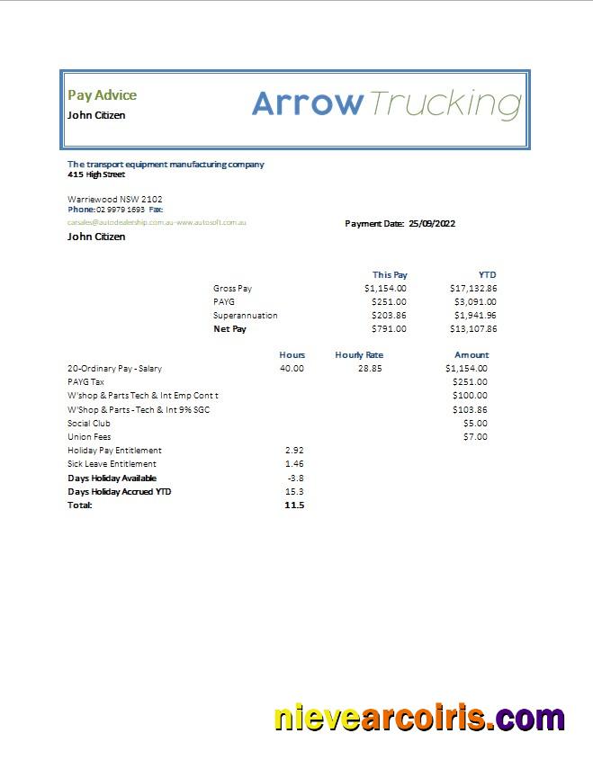 Transport Equipment Manufacturing Company Earning Statement In Word And PDF Formats Template